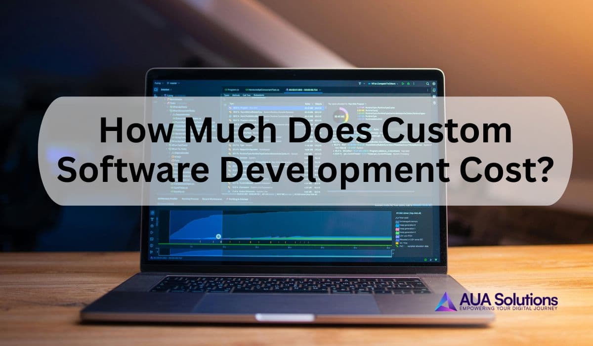 Custom Software Development Cost